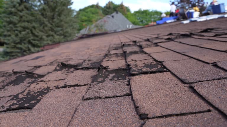 Best Gutter Installation and Repair  in West Hazleton, PA